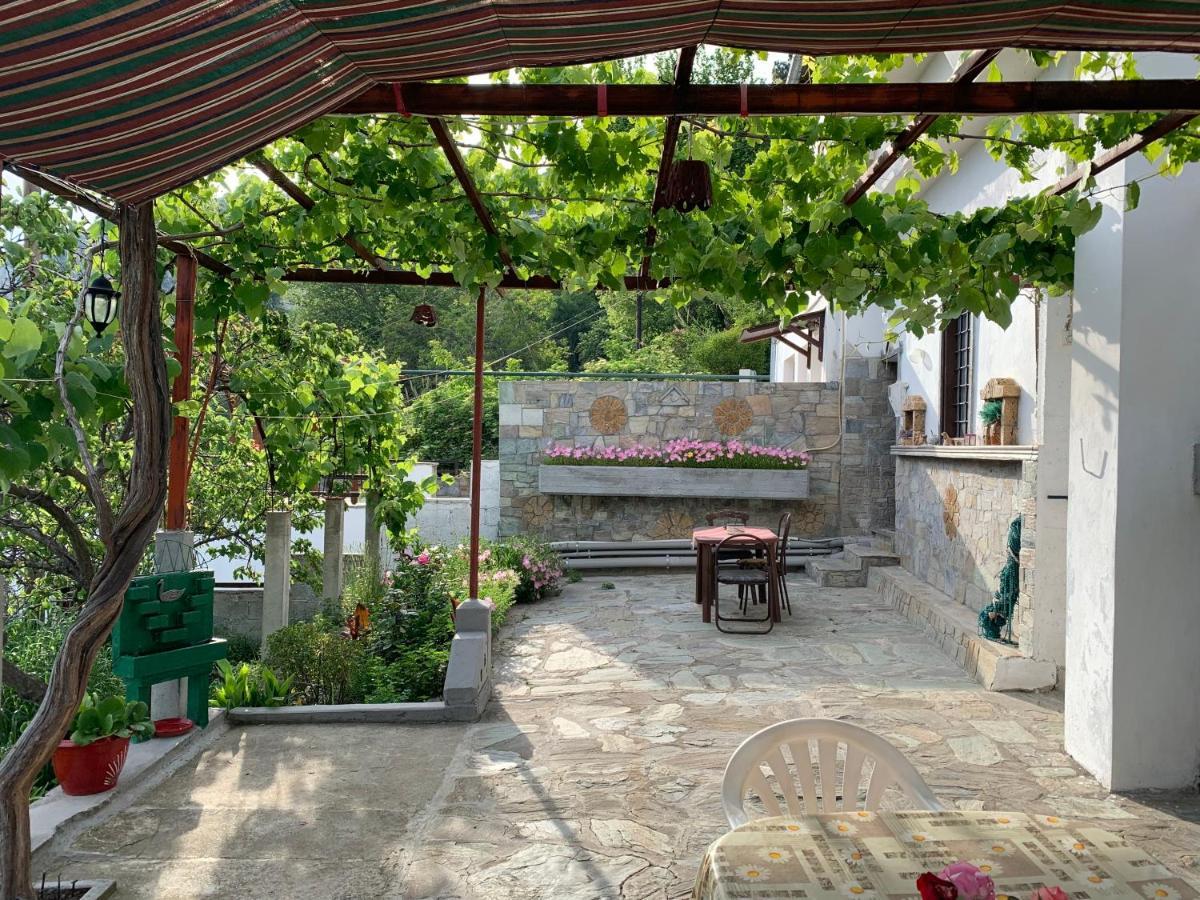 Η Θεα Traditional House Makrinitsa Exterior photo